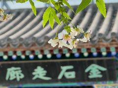 -北京石刻艺术博物馆(五塔寺)