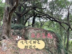 -青芝山风景名胜区