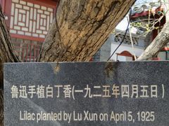 -北京鲁迅博物馆(北京新文化运动纪念馆鲁博馆区)