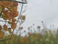 -中国天府农业博览园