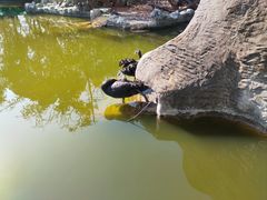 -昆明动物园