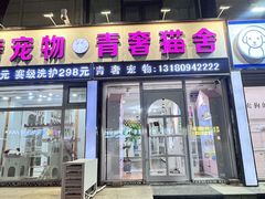 -青奢宠物·青奢猫舍