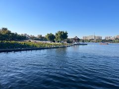-济南大明湖景区