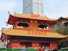 -越秀西湖花市(广州城市广场花卉店)