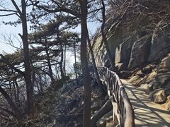 -沂蒙山旅游区龟蒙景区