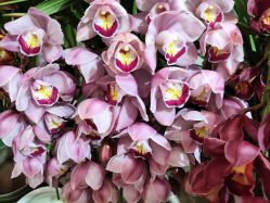 -今日陶艺(富力广场店)