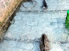 -鱼窝棚柴火铁锅炖(富山屯店)