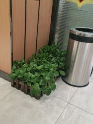 -永琪护肤造型