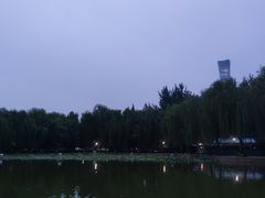 -团结湖公园