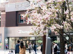 -中粮·祥云小镇