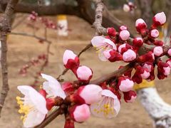 -鹫峰国家森林公园