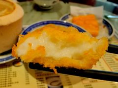 炸鲜奶-黄氏壹品汇•水牛奶甜品(全国总店)