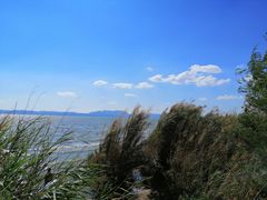 -捞渔河湿地公园