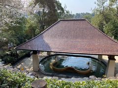 -天目湖涵田半山温泉