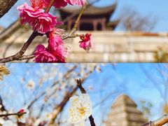 -广富林郊野公园