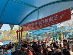 -海合安武汉极地海洋公园