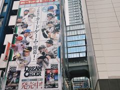 -秋叶原电器街