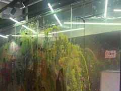 -不可思议减压馆·解压博物馆·摔碗发泄·团建定制