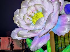 -中华世纪坛