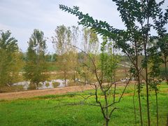 -洨河生态公园