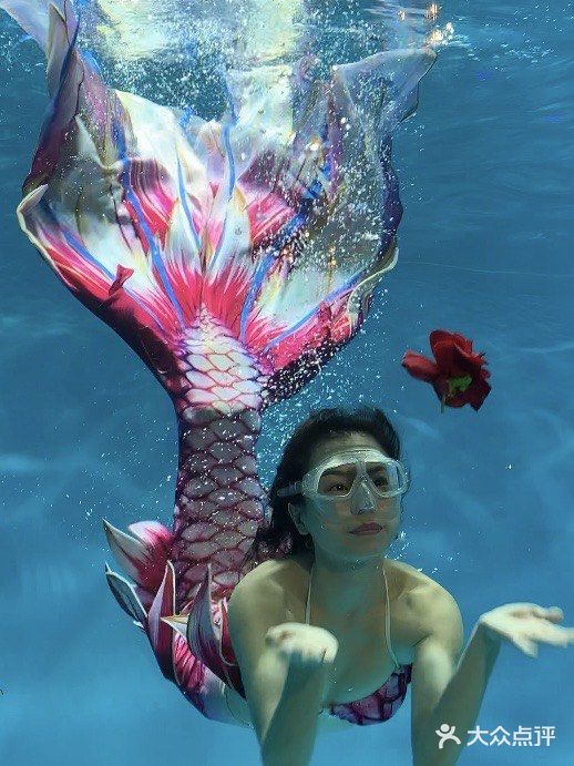 吃饭还能能看到美人鱼🧜🏻‍♀️｜中山K6潜水餐吧