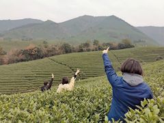 -帐篷客·溪龙茶谷度假酒店