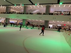 -TheRink大零溜冰场(IFS国金中心店)