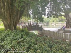 -荔枝公园(福田区)