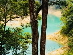 -广州市流溪河国家森林公园