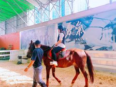 -名驭国际马术学院