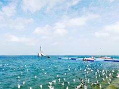 -青海湖国家重点风景名胜区