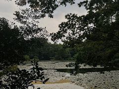 -杭州植物园