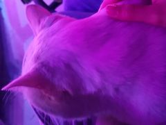 -vimi便利店酒吧