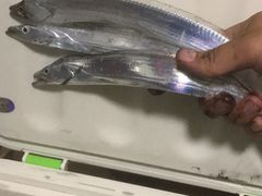 -东山码头