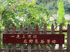 -野象谷景区