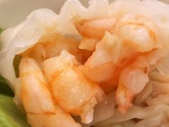-京华世纪酒店·潮苑大酒楼(益华百货店)