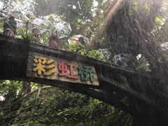 -青青世界