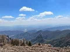 -芦芽山旅游度假区