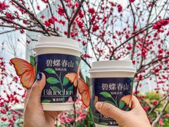 -百分茶(九洲新世界店)