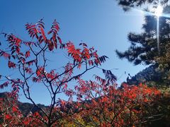 -仙居谷风景区