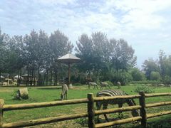 -大连森林动物园