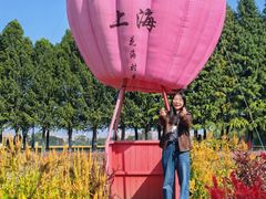 -嘉北郊野公园