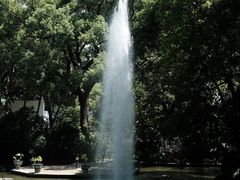 -九龙公园