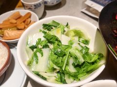 清炒农家时蔬-寨子里的钵钵菜·湘西山里菜(魅力湘西店)