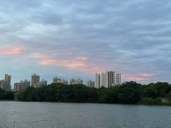 -金银湖国家城市湿地公园