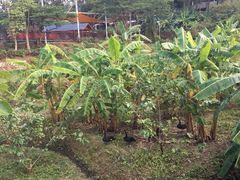 -泉州海丝野生动物世界