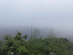 -浙江大学(玉泉校区)