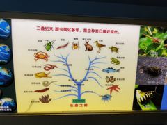 -上海昆虫博物馆