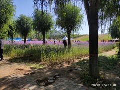 -北戴河集发农业梦想王国
