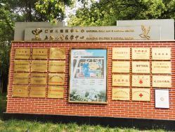 -上海交通大学医学院附属上海儿童医学中心(陆家嘴总院区)